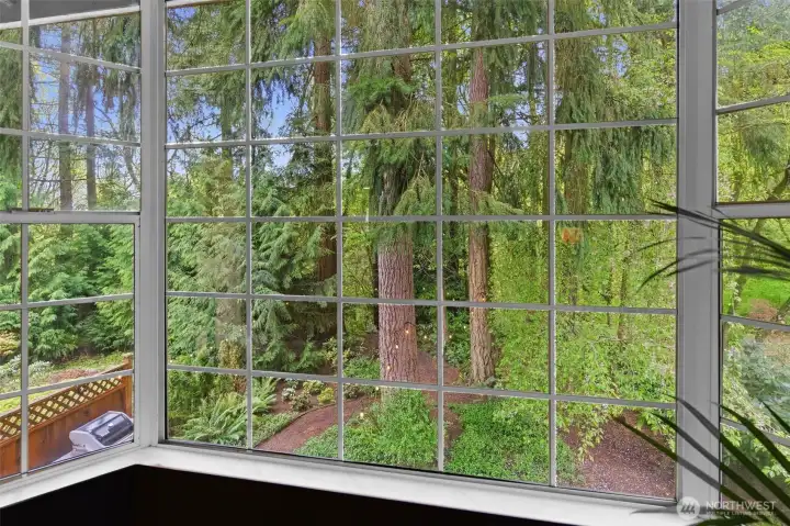 View from Primary Suite