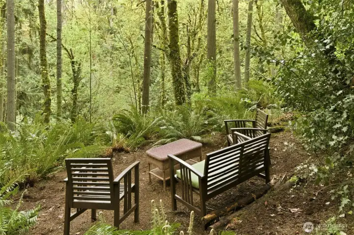 Quiet parklike setting for morning coffee in the heart of Rose Hill