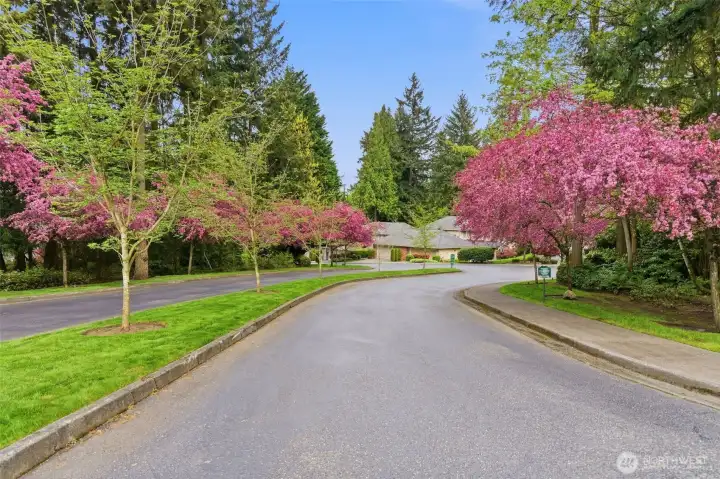 The Pointe Drive