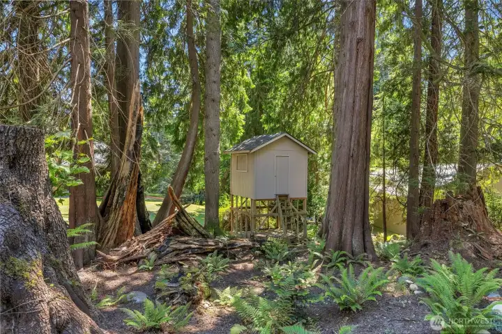 Elevated Play house for the kids... Elevated Play house for the kids...
