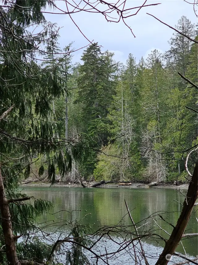 Saltwater frontage on Dutcher's Cove