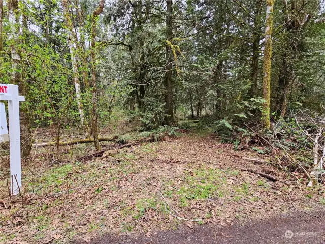 Level building sites on both sides of driveway.  Old road goes down to waterfront.