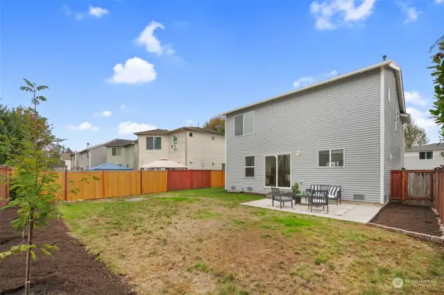 Fully fenced & low maintenance backyard