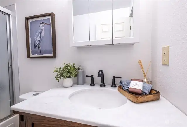 New vanity and faucet