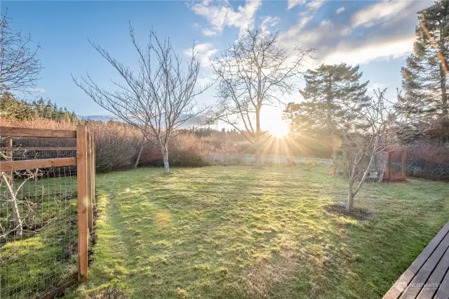 View of sunset from deck and garden