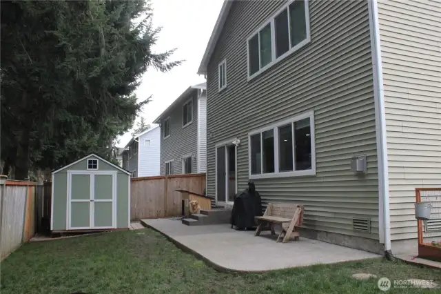 Back yard