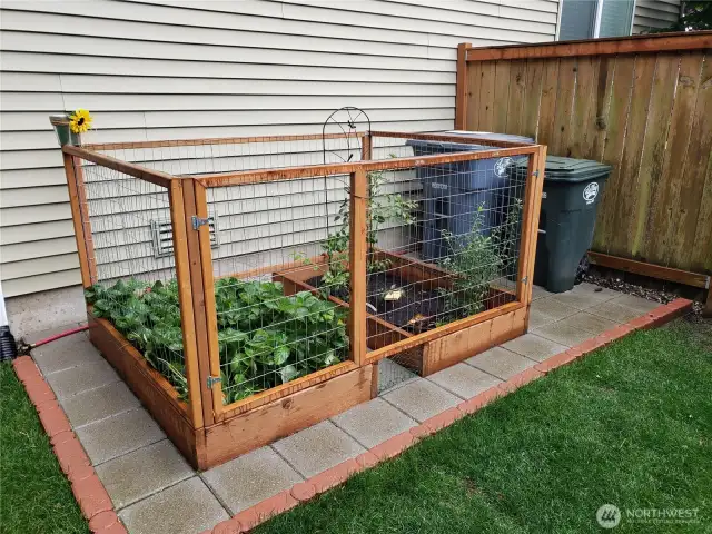Garden in backyard