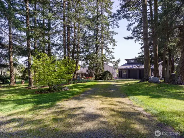 Driveway
