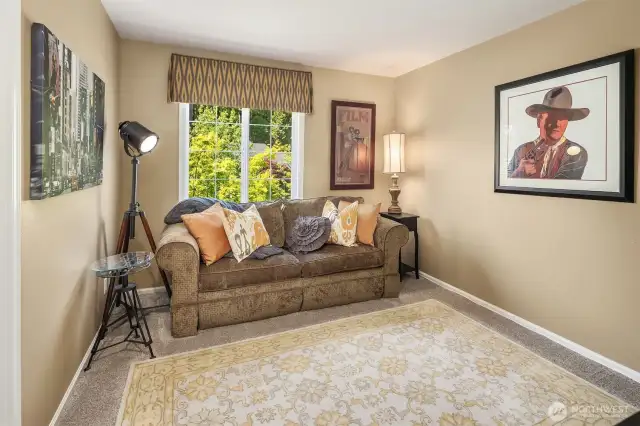 Third guest bedroom upstairs is currently used as a movie room.