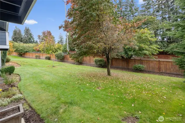 Your expansive backyard- rarely used by anyone else.