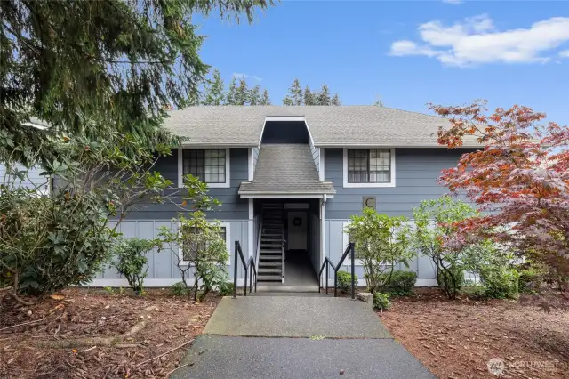 The Cove landscaping showcases the beauty of the PNW.