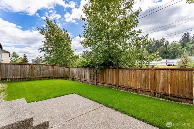 Rear Yard
