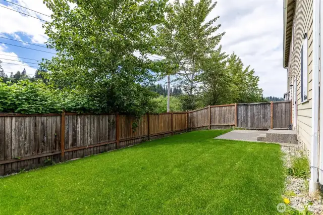 Rear Yard