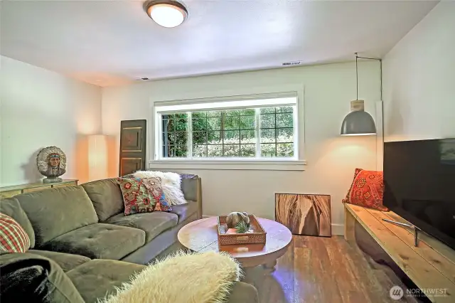 Opposite side of bonus space downstairs.