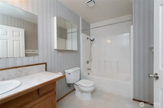 Lower level full bath