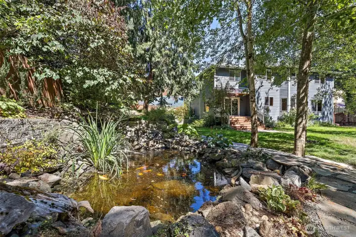 Custom built koi pond with waterfall