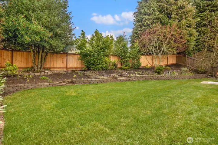 Updated backyard: Pressure cleaning on the retaining wall, new sod, new plantings, new fence.