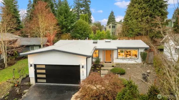 Updated backyard: Pressure cleaning on the hard-scapes, new sod, new plantings, new fence.  Landscape lighting too!