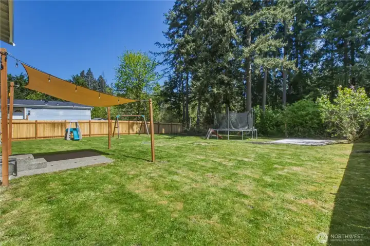 back yard