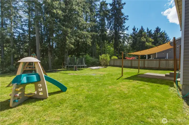 back yard