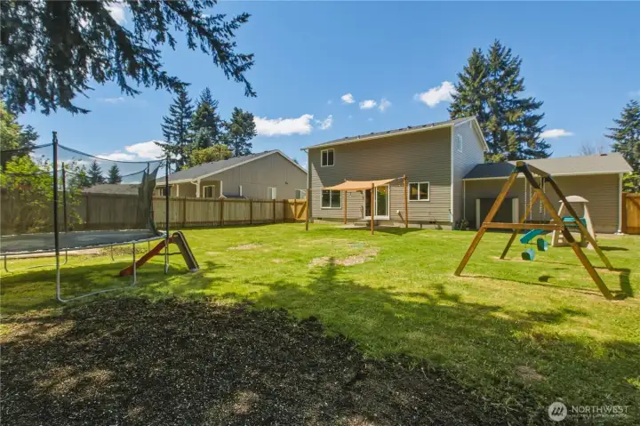back yard