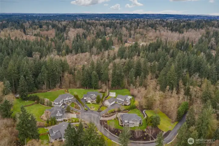 A small enclave of luxury homes in the desirable Echo Lake community.
