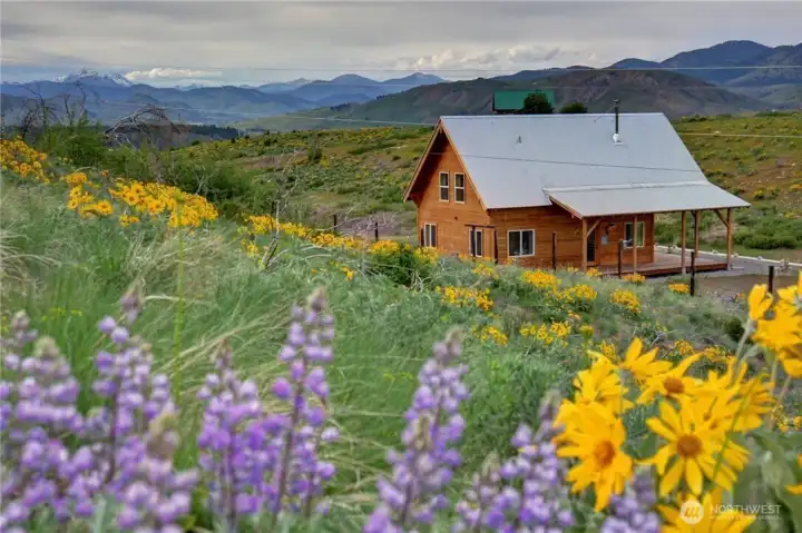 Peace and tranquility! Wildflowers and birds! Mountain vistas and fresh air!