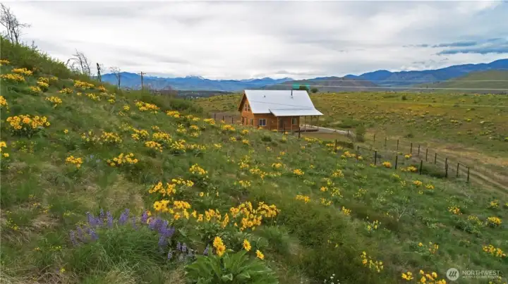 Beautiful mountain vistas to the north.