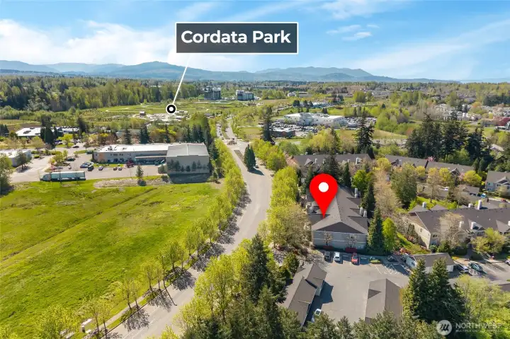 Cordata Park just Down the Street