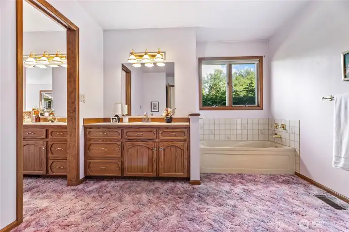 Rest of full bathroom with another vanity/sink, large jetted tub, & walk in shower