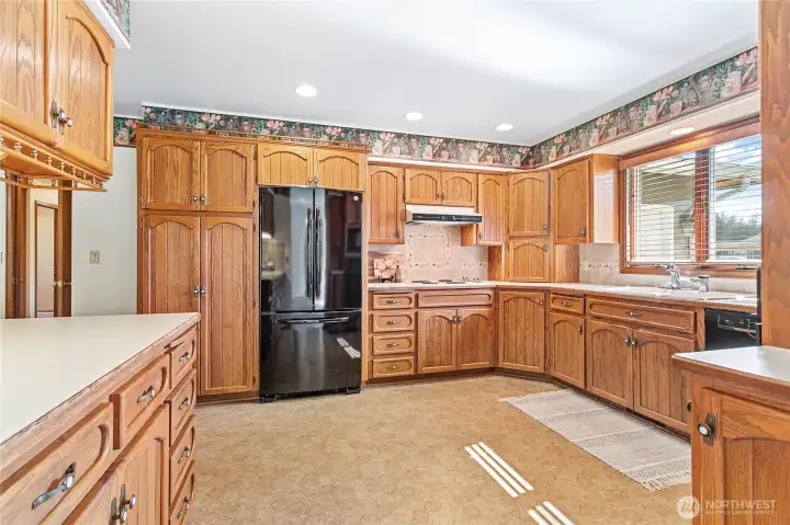 Nice size cabinet pantry