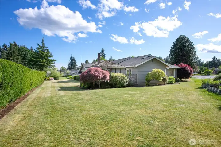 Huge extra wide backyard due to pie-shape lot.