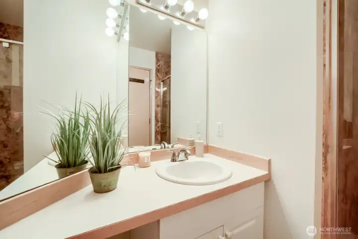 Main floor guest bathroom....