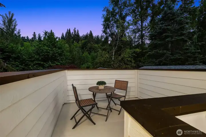 Private roof top deck off primary suite.
