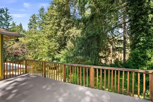 Back deck offers privacy and shade