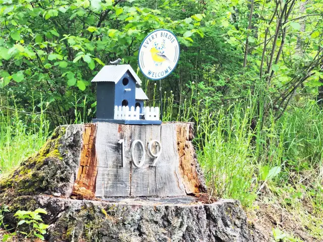 Welcome to 109 Finn Hall Rd!