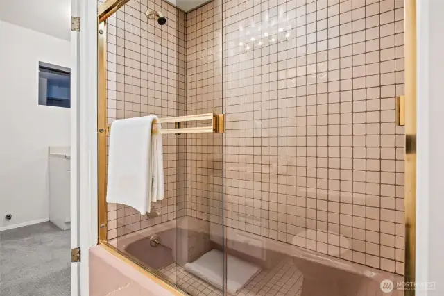 Basement, ADU full bath