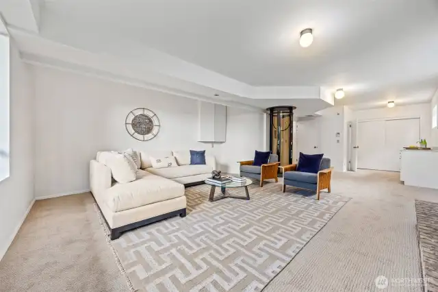 Basement, ADU Living & kitchenette (fridge is in the garage)