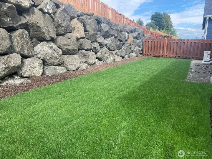 Finished rear yard