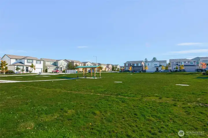 Neighborhood park directly across the street.