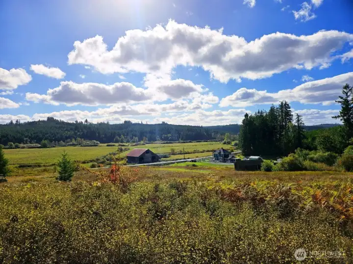 Your home was built on the choicest spot of the original 600+ acres the once was part of this homestead. Today, you'll be glad you don't have nearly so much to take care of and the 7.85 acres gives you almost limitless possibilities.