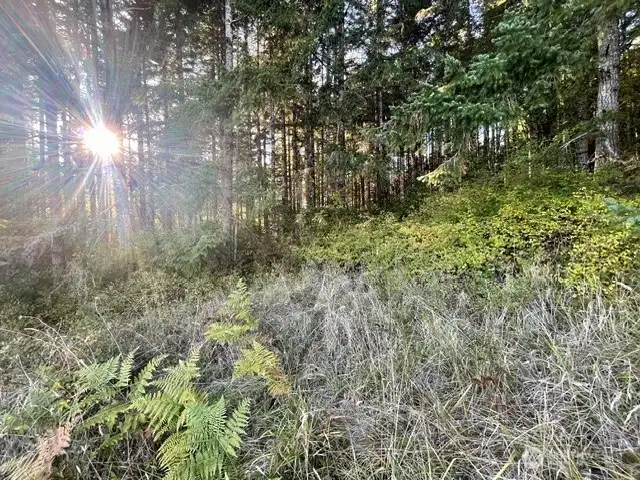 The back side of your property is wooded, creating a beautiful backdrop and lots of privacy.  You back up to forest land.  Best of both worlds, pastures, yard and forest all on 7.85 newly surveyed acres.