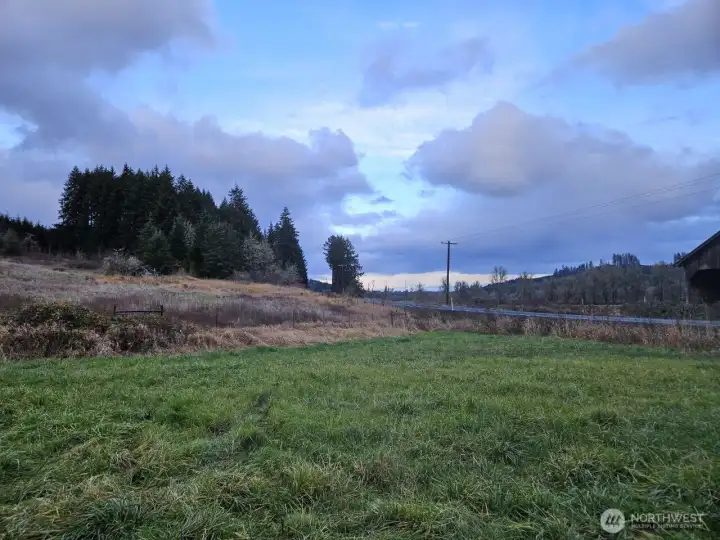 Your property has flat areas, rolling hillside, pasture areas, fruit trees and forest.  There is room for an arena, round pens, additional shelters.   Note that the fence posts are in and ready for your choice of fencing.