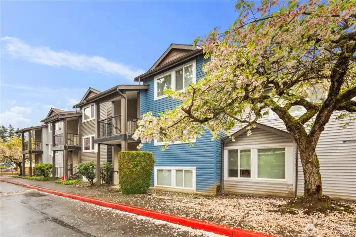 Welcome to beautiful Aspen Grove