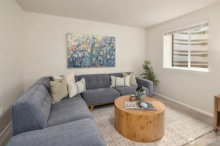 Lower level room - could be home theater or guest suite.