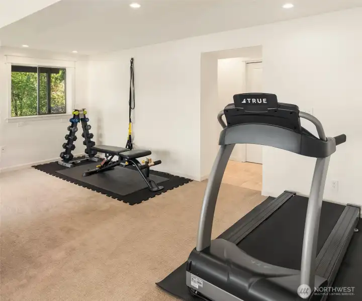 Lower level den/gym