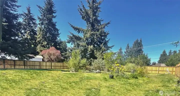 Fully fenced spacious backyard!