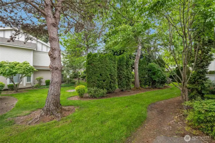 Tranquil setting surrounded by mature trees.