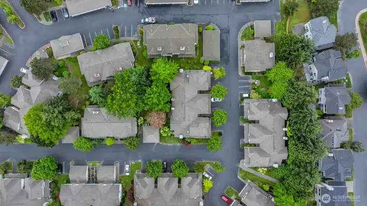 Tree-lined streets create a quiet, established residential atmosphere.