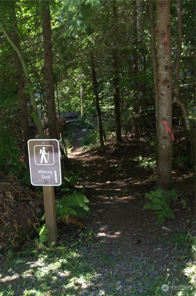 Trail 1 conveniently located across from property. Goes down closest to the amenities.